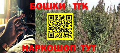 ПСИЛОЦИБИНОВЫЕ ГРИБЫ Коммунар